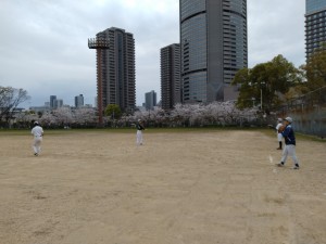 桜キレイだったし、