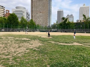 関西女子野球界の