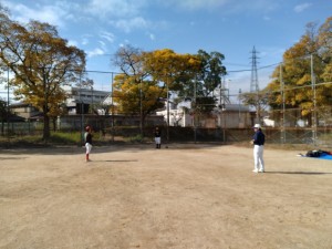 ハヤブサの民たちも