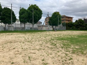 この日は、台風の影響で