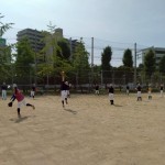 来年になったらまた