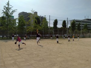 来年になったらまた
