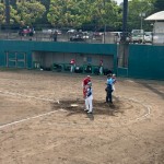 写真が多いのは、