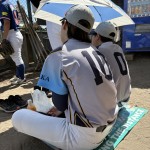 この日は橘野球場で