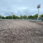 手に汗握る対戦ばかり。