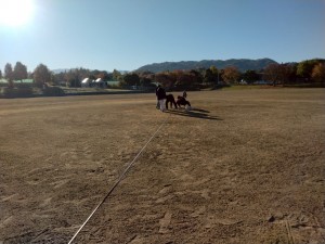 今季最終戦in蜻蛉池。