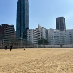 若者たちだけで