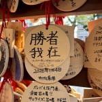 これにしました！