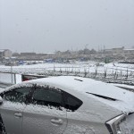 こんなだったらしい。