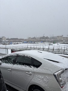 こんなだったらしい。