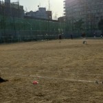 たくさんいたからです!