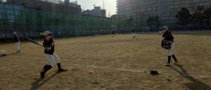 たくさんいたからです！