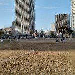 正捕手だからいいじゃない笑