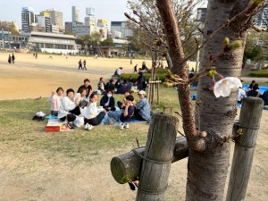 花は一輪くらいしか
