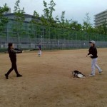 けんぽーが来ました。