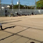 使うなら冬場だね。