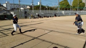 使うなら冬場だね。