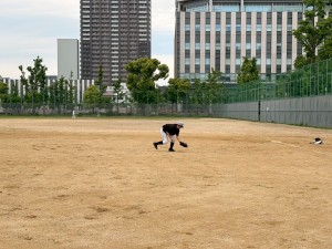 下福島で練習。