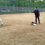 この日は
