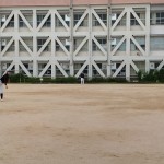 なので、