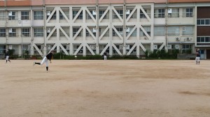 なので、