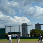 アッフェではレアな